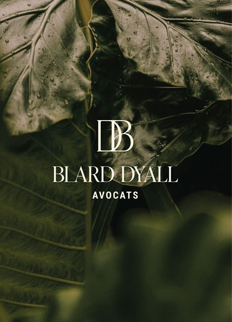 creation de logo blard dyall avocats